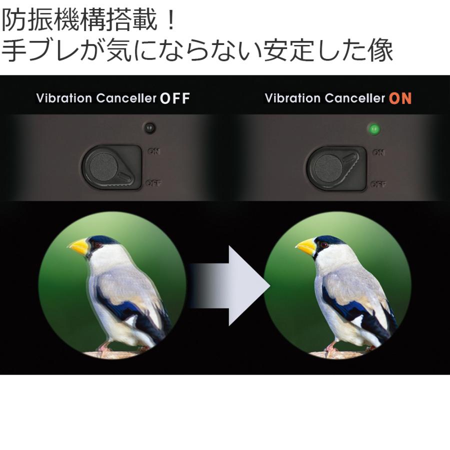 Vixen ビクセン ATERA II ED H16×50WP（ブラックブラウン） 防振双眼鏡