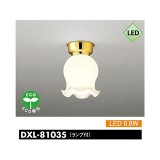 大光電機 DAIKO/大光電機 DXL-81035 LED小型シーリングライト