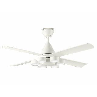 【未使用品】大光電機 DAIKO シーリングファンライト ASL-616 白8畳 大光電機 DAIKO/大光電機 【値下げ中！】【DCモーター】ASL-616 LED