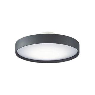 大光電機 DAIKO/大光電機 DXL-81435 LEDシーリングライト 【10〜12畳