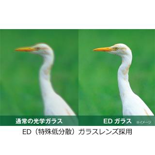 KENKO ケンコー AVT-1025EDDH Avantar 10×25 ED DH 双眼鏡 アバンター【10x25】_1