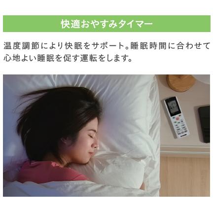 IRIS OHYAMA アイリスオーヤマ IHF-4009G 2025年モデル スタンダード