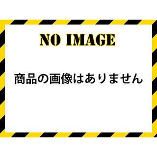 TAIYO 太洋電機産業  【goot/グット】BN-60H 替ヒータ− (60W)｜murauchi