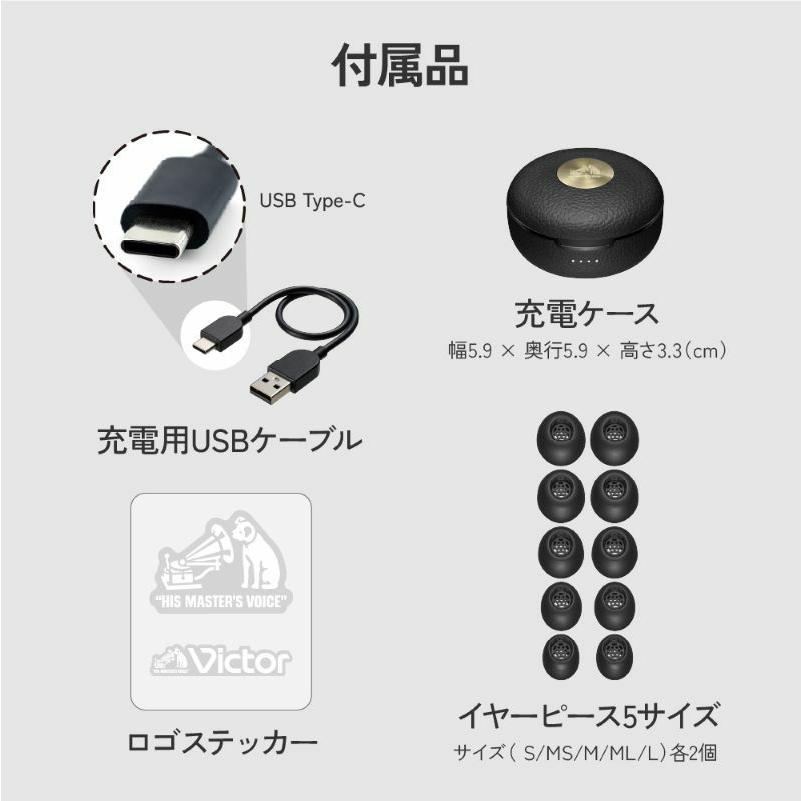 Victor（ビクター） JVC Victor HA-FW5000T-T(サンバーストブラウン