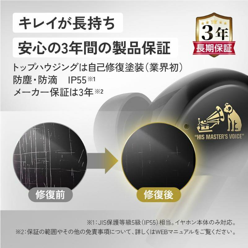 Victor（ビクター） JVC Victor HA-FW5000T-T(サンバーストブラウン