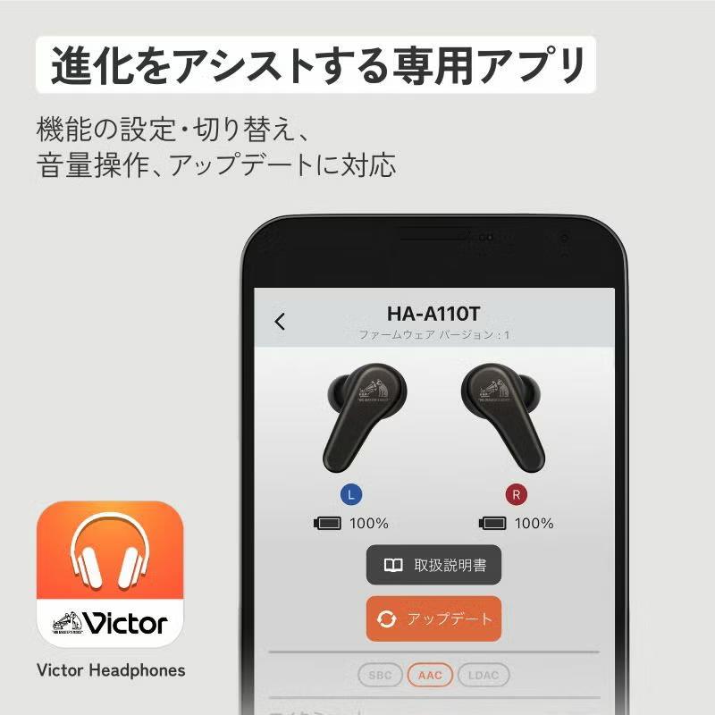 Victor（ビクター） JVC Victor HA-A110T-B チャコールブラック