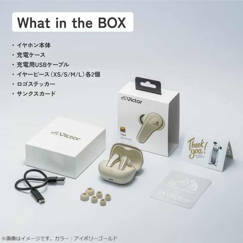 Victor（ビクター） JVC Victor HA-A110T-B チャコールブラック