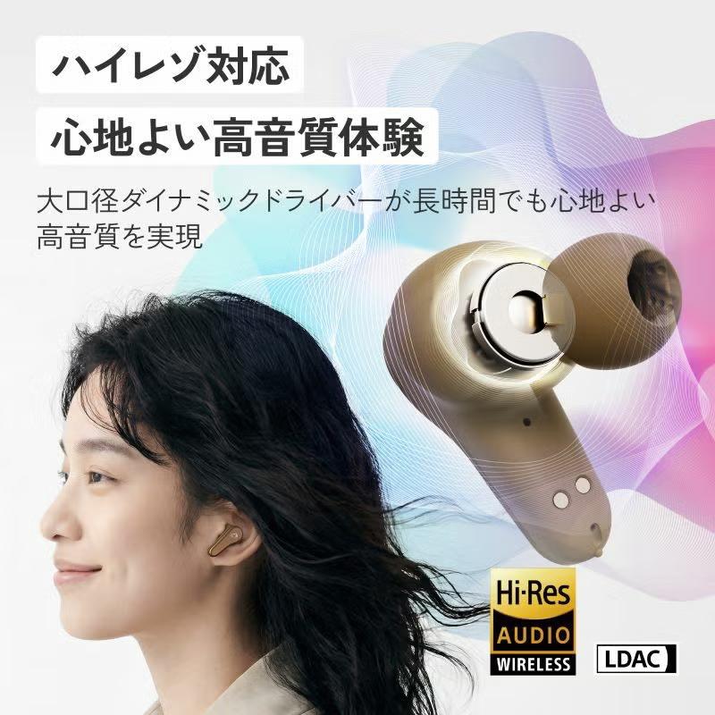 Victor（ビクター） JVC Victor HA-A110T-B チャコールブラック