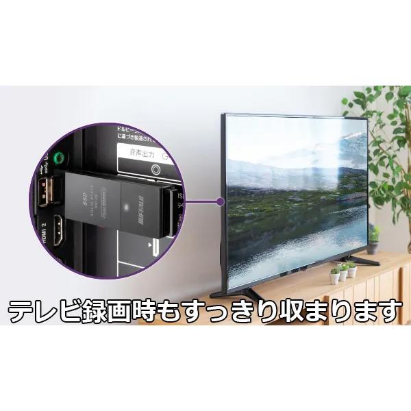 BUFFALO（バッファロー） USB3.2(Gen2) Type-A＆C TV録画対応