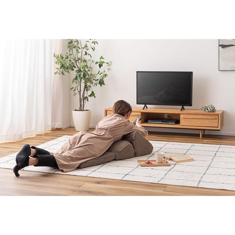 東谷 ROOM ESSENCE ごろ寝に便利 TVまくら Lサイズ FCC-121BR テレビ