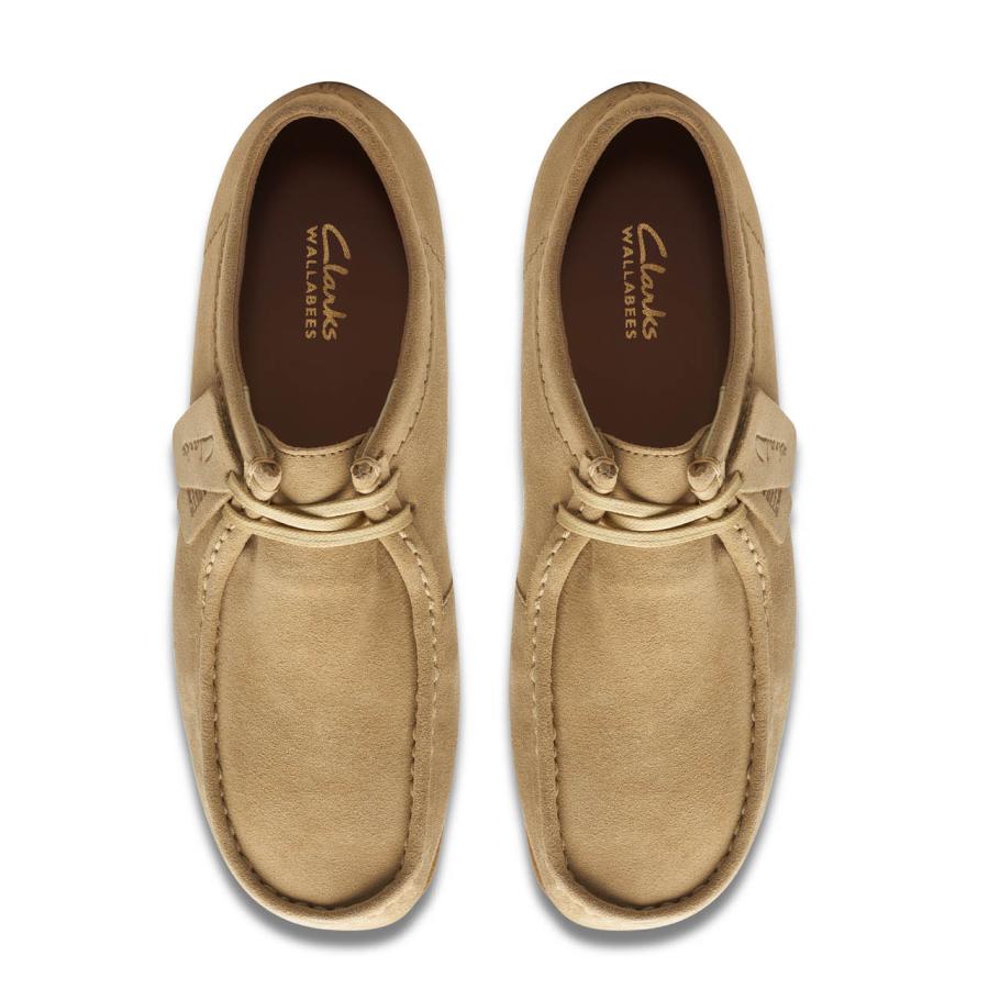 clarks クラークス 【ユニセックス】ワラビーエヴォ ウォーター