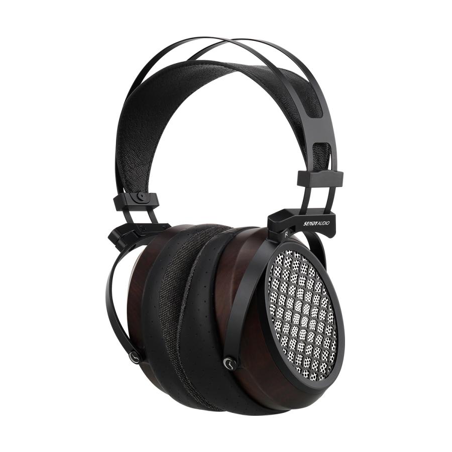 SENDY AUDIO センディーオーディオ SDA-AIVA2 Aiva 2 平面駆動オープン