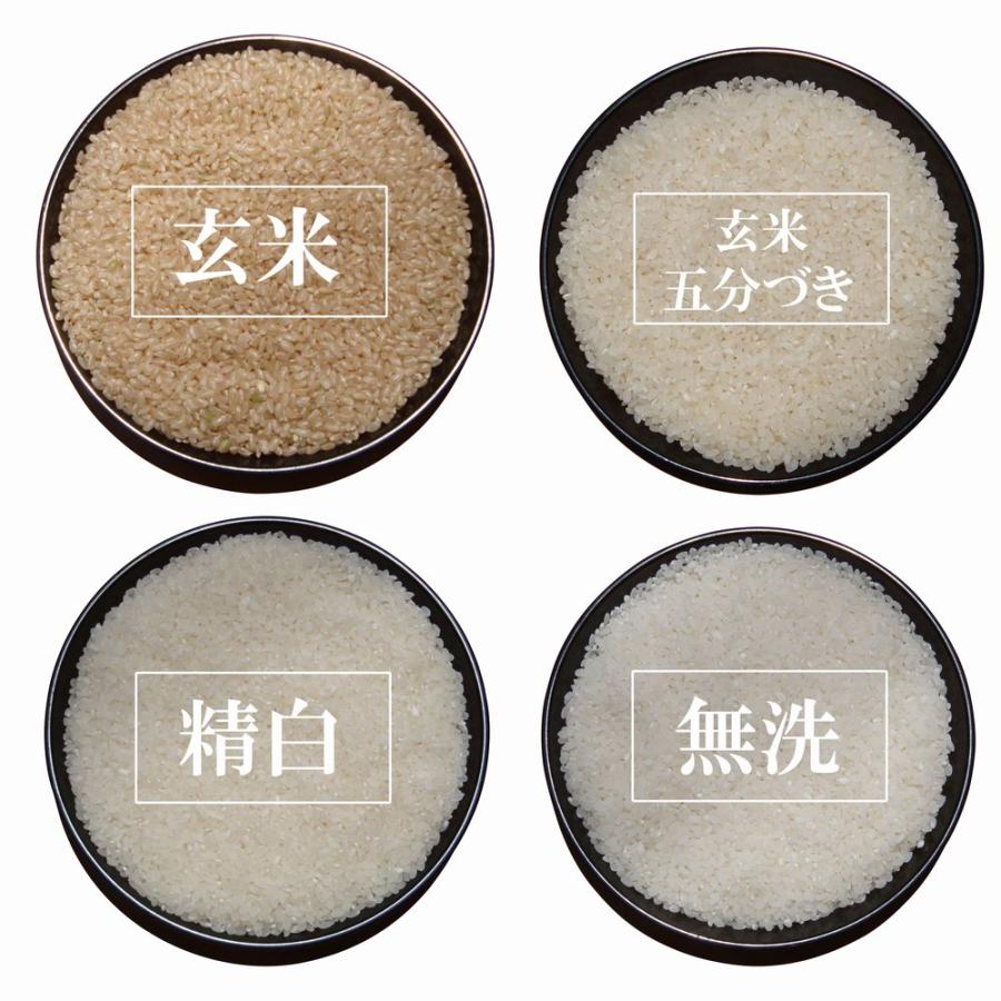 きぬむすめ 20kg 【令和5年産・無洗米・5kg×4】〔むろ米穀 きぬむすめ 20kg 【令和5年産・無洗米・5kg×4】〔むろ米穀