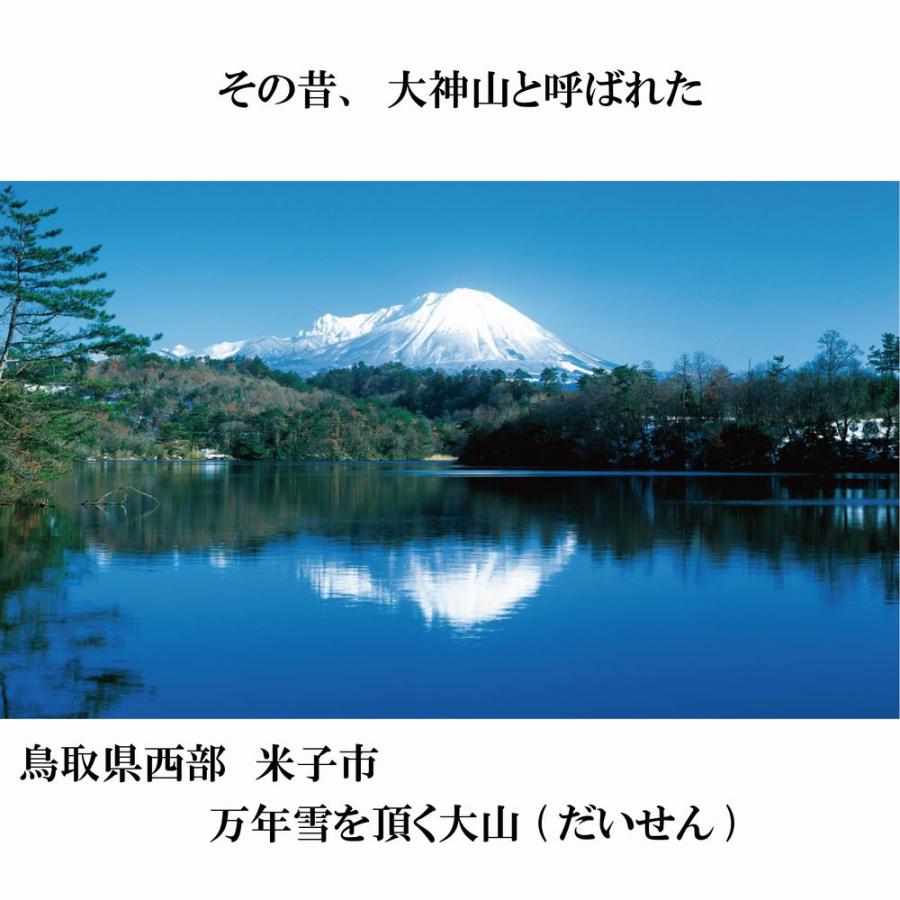 きぬむすめ 20kg 【令和5年産・無洗米・5kg×4】〔むろ米穀 きぬむすめ 20kg 【令和5年産・無洗米・5kg×4】〔むろ米穀