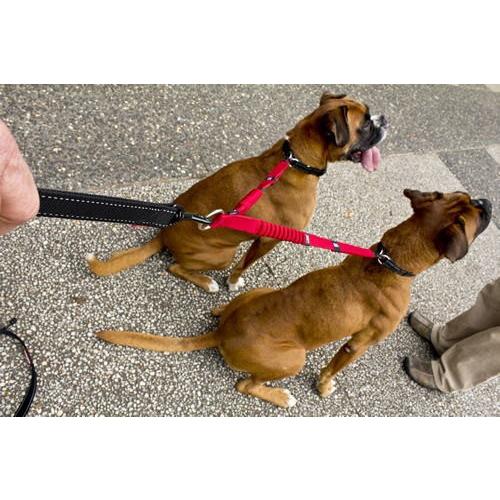 犬 リード Ezydogゼロショックエクステンションダブル ペットグッズショップmurol 通販 Yahoo ショッピング