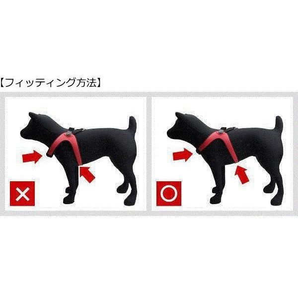 犬 ハーネス 小型犬用　トレ・ポンティ　Fibbia Soft Mesh adjustable type（フィッビア　ソフトメッシュアジャスタブルタイプ）  1.5サイズ｜murol｜07