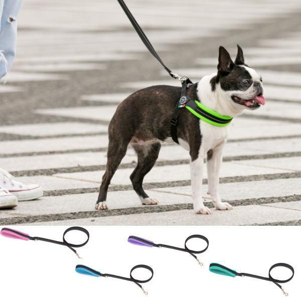 犬 リード 小型犬用 トレ・ポンティ Soft Mesh Leash PASTEL（ソフトメッシュリーシュパステル） 130cm