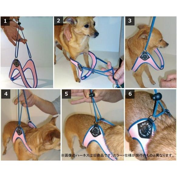 犬 ハーネス 小型犬用 トレ ポンティ Liberta リベルタ 1 5サイズ 1h ペットグッズショップmurol 通販 Yahoo ショッピング