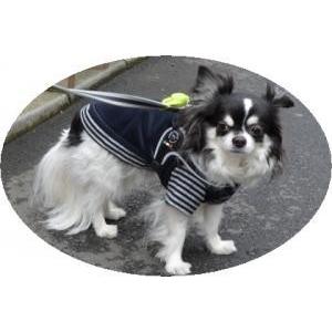 犬 ハーネス 小型犬用　トレ・ポンティ　Fibbia（フィッビア） アジャスタブルタイプ 1.5サイズ｜murol｜06