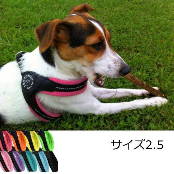 犬 ハーネス 小型犬用　トレ・ポンティ　Fibbia Soft Mesh（フィッビア ソフトメッシュ） 2.5サイズ｜murol