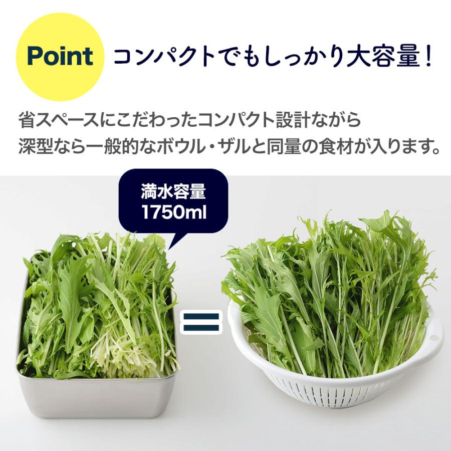 アーネスト（Arnest） 蓋付き 深型 ステンレスバット・角型 ザル