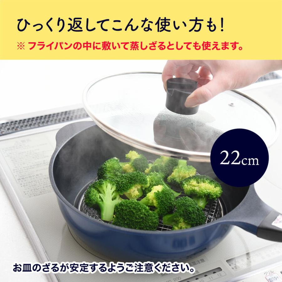 アーネスト（Arnest） 逸品物創 お皿のざる ザル 19cm A-77725 燕三条