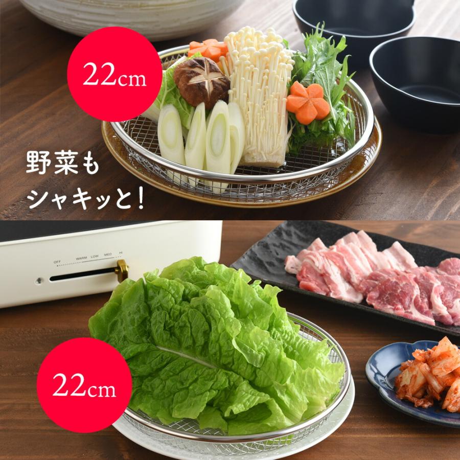 アーネスト（Arnest） 逸品物創 お皿のざる 22cm A-77726 燕三条 日本