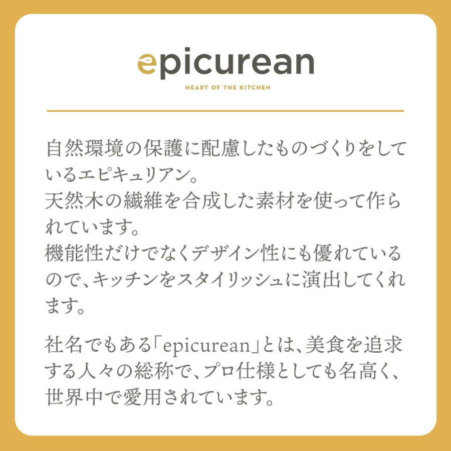 【Lサイズ】エピキュリアン カッティングボード L epicurean  まな板 食洗機対応 カッティングマット 軽い 薄い 耐熱  おしゃれ   黒 アウトドア キャンプ｜murphyshop｜09