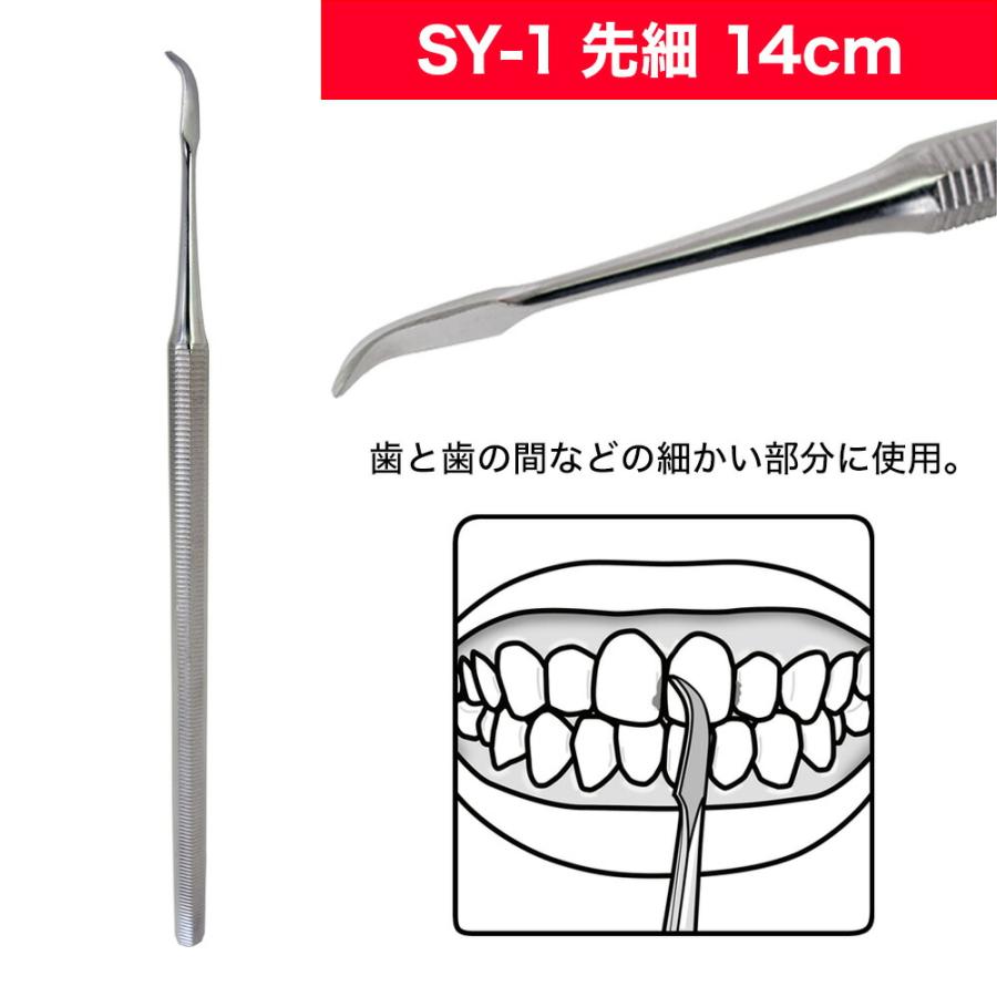 歯垢＆ヤニとり ステンレス デンタルケア 5種類 北正 Kanetsune 一般