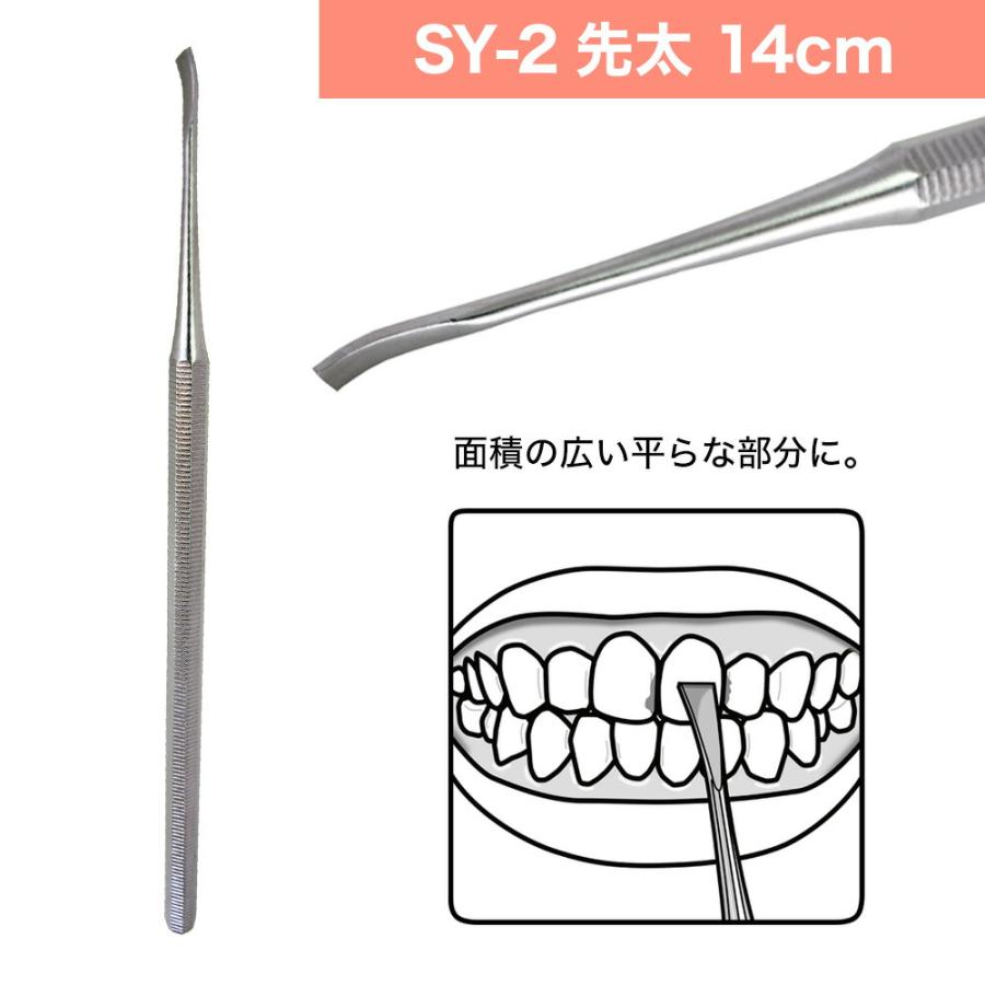 歯垢＆ヤニとり ステンレス デンタルケア 5種類 北正 Kanetsune 一般