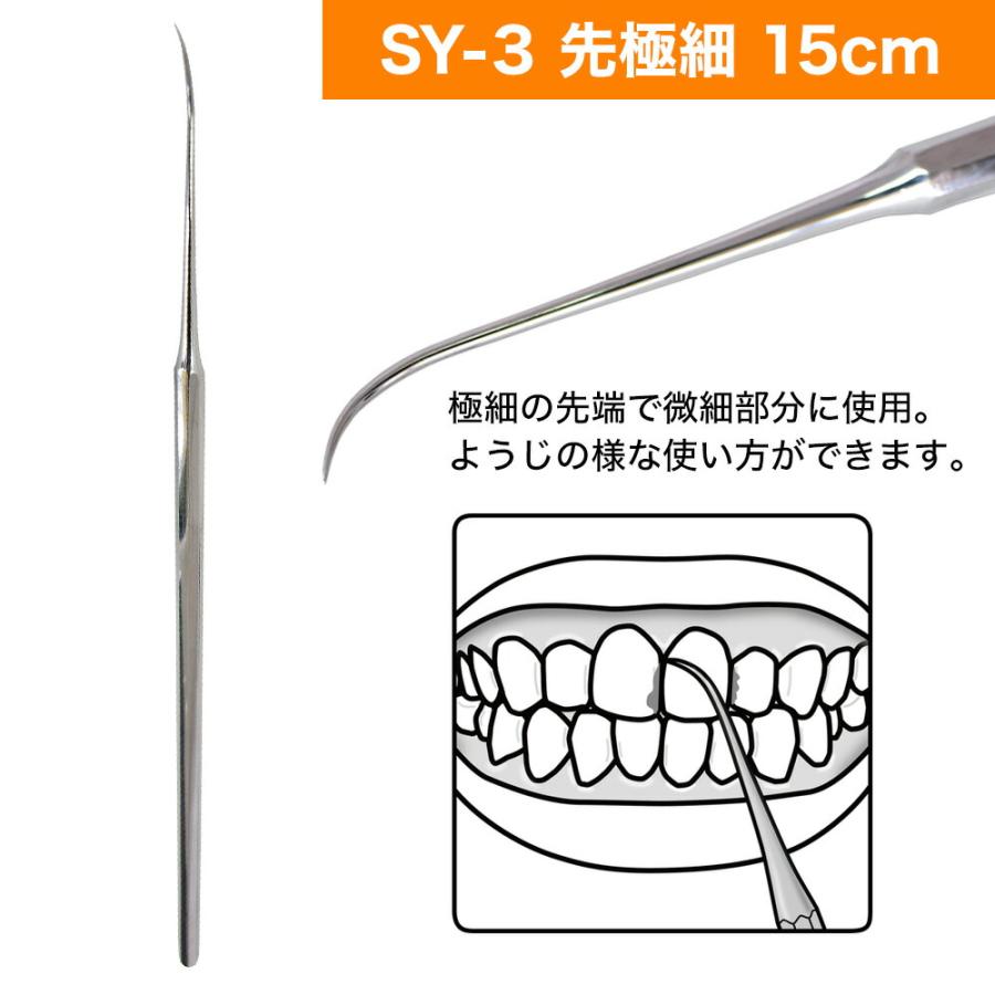歯垢＆ヤニとり ステンレス デンタルケア 5種類 北正 Kanetsune 一般