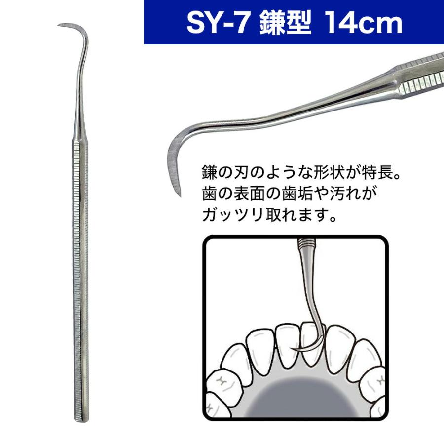 歯垢＆ヤニとり ステンレス デンタルケア 5種類 北正 Kanetsune 一般