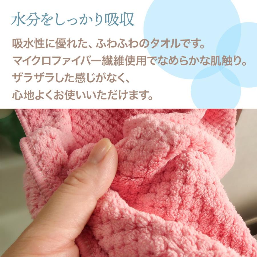 TEIJIN（テイジン） 旧モデル ふわふわ マイクロファイバー タオル