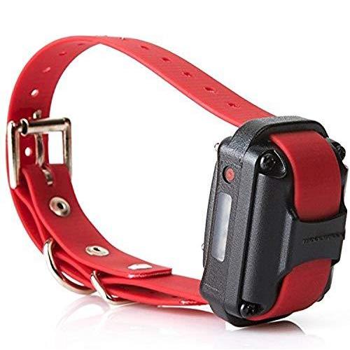 エデュケーター追加レシーバー プロ上級犬訓練カラーシステム カーマ レッド 首輪 首輪 ハーネス リード Musakoseのエデュケーター追加レシーバー プロ上級犬訓練カラーシステム カーマ レッド B00r817q0gならショッピング ランキングや口コミも豊富なネット通販 更に