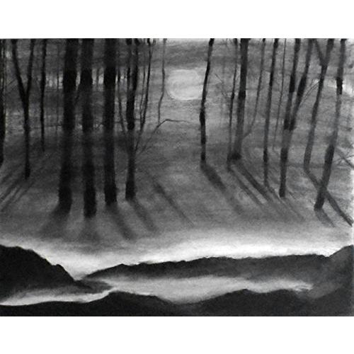 日本買い 霧を通して1 11 X 14 木炭画 オリジナルの風景画 ダークフォレストホームデコ 白黒の風景画 美術とイラスト 贈り物のアイデア 大特価セール開催中 Ssl Daikyogo Or Jp