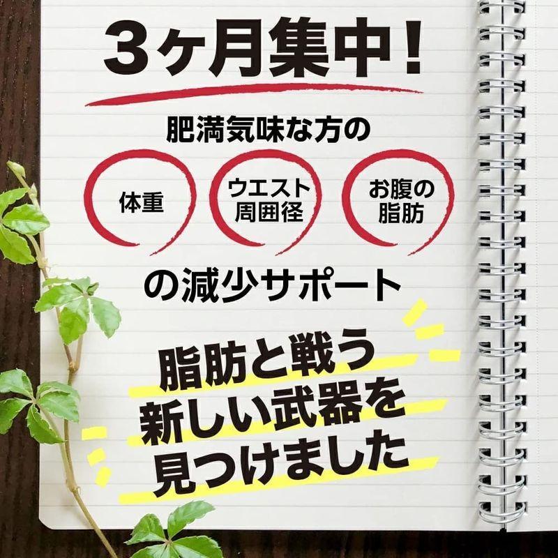 シボヘルシ 体重 お腹の脂肪 内臓脂肪 皮下脂肪を減らすのを助ける サプリメント 機能性表示食品 葛の花由来イソフラボン 30日分｜musashinokan｜04