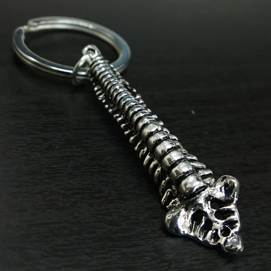 【アナトミーキーチェーン】脊柱（Spine） | 