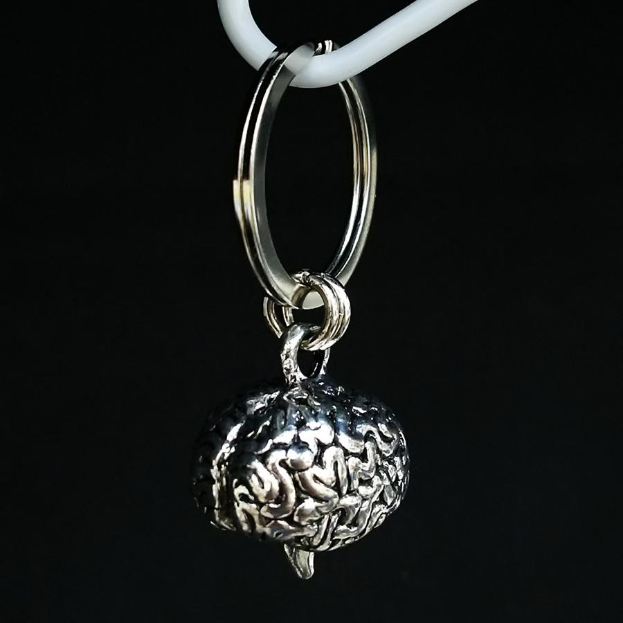 【アナトミーキーチェーン】脳（Brain） | 