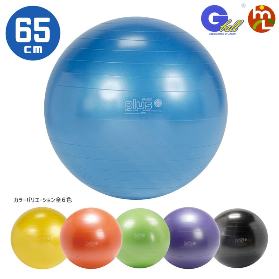 GYMNIC バランスボール 「ギムニクプラス(GYMNIC PLUS)65cm GYMNIC バランスボール 「ギムニクプラス(GYMNIC PLUS)65cm