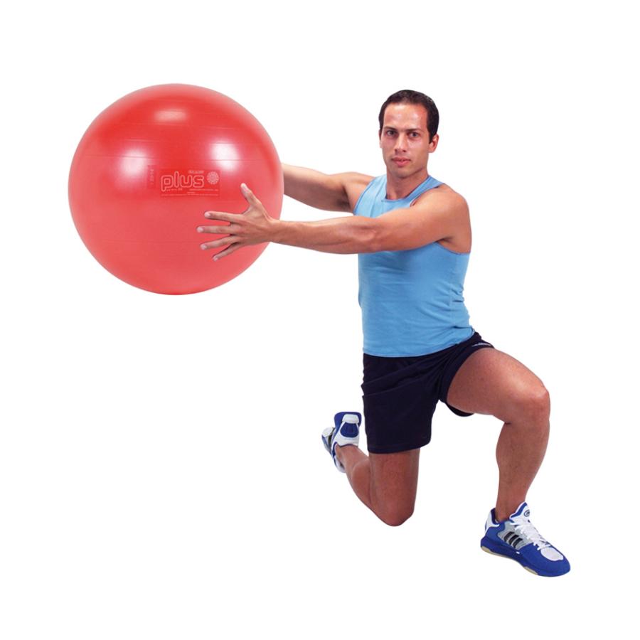 GYMNIC バランスボール 「ギムニクプラス（GYMNIC PLUS）65cm