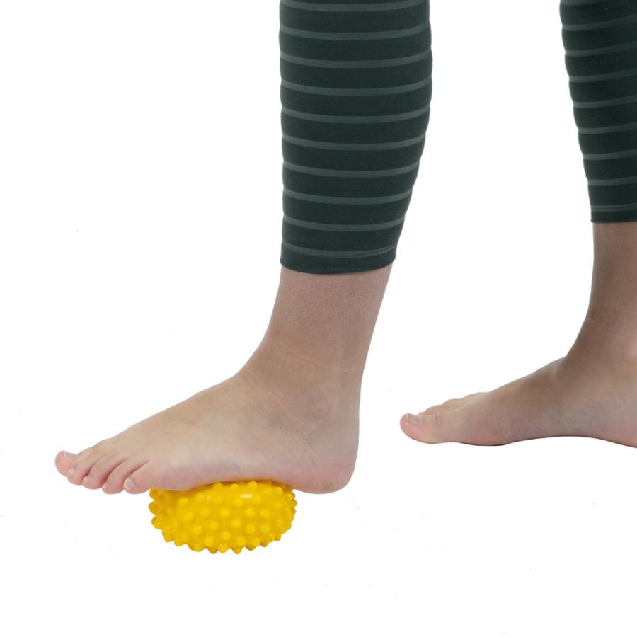 ギムニク触覚ボール 100cm 楽天市場】【Wアクションポンププレゼント】触覚ボール100