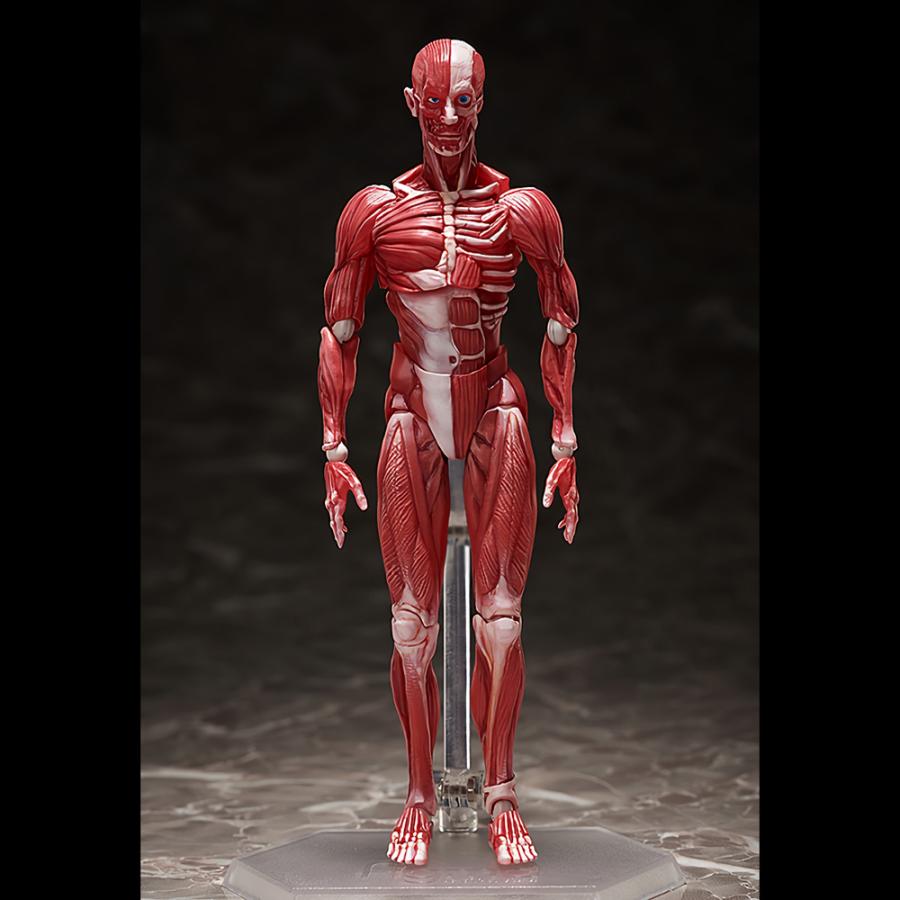 Figma　13体　まとめ売り Figma 13体 まとめ売り Figma 13体 まとめ売り