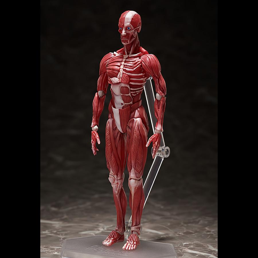 J*C様 figma まとめ売り　12体 figma カズマ｜グッドスマイルカンパニー公式ショップ