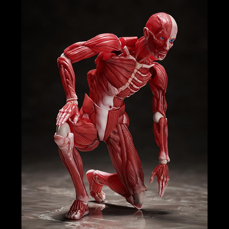 Figma　13体　まとめ売り imgrc0096263039.jpg