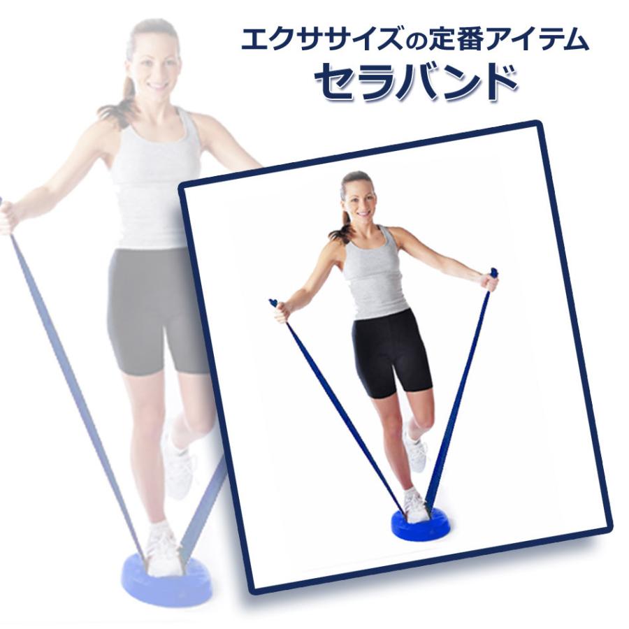 THERABAND（セラバンド） ブルー 青 1.5m トレーニングチューブ 筋トレ