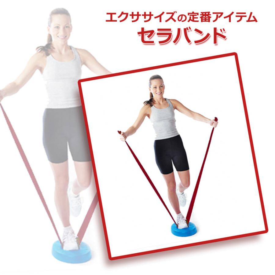 セラバンド レッド 赤 2m トレーニングチューブ 筋トレ ストレッチ リハビリ エクササイズ小冊子付 Theraband :nm-021-r:筋肉家 店 通販 トレーニングチューブ レッド エクササイズ