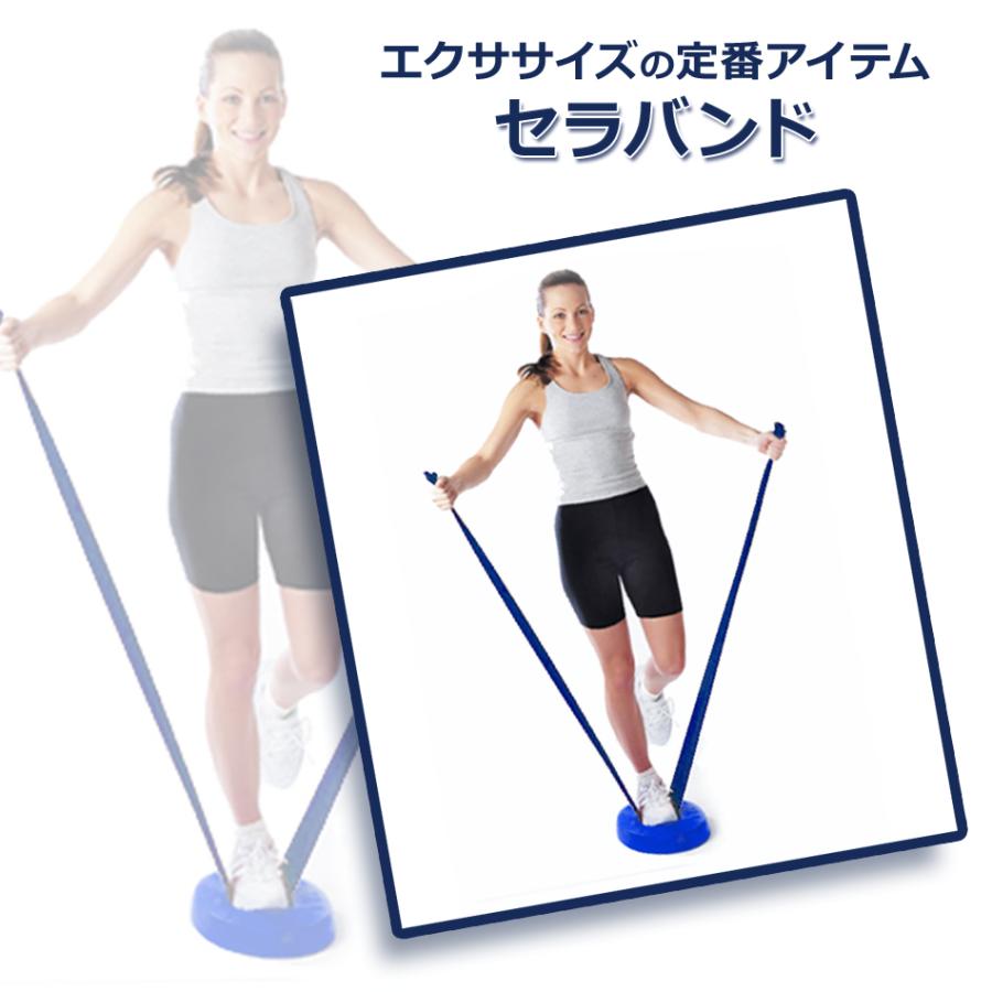 THERABAND（セラバンド） ブルー 青 50ヤード トレーニングチューブ 筋