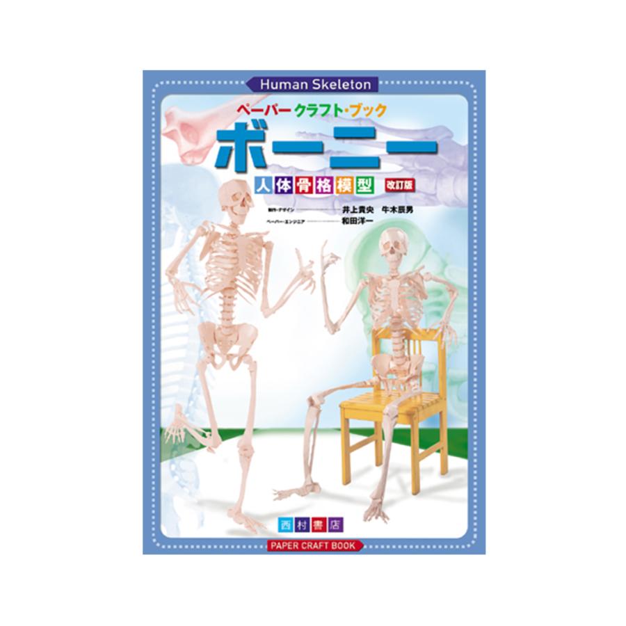 書籍「ペーパークラフト・ブック ボーニー 人体骨格模型」 : 筋肉家