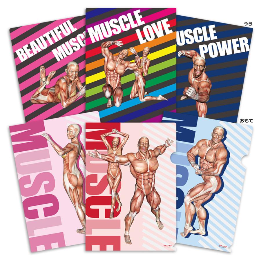 筋次郎コレクション1 クリアファイル3種4枚セット 筋次郎コレクション1 クリアファイル3枚セット : 筋肉家 Yahoo