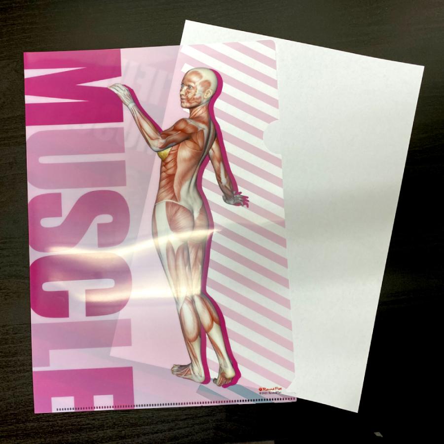 筋次郎コレクション1 クリアファイル3枚セット : 筋肉家 Yahoo